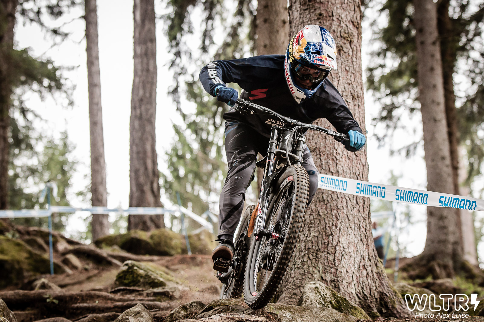 Loic Brunu Back on the track