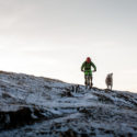 THE DOG – TRUE TEAMMATE